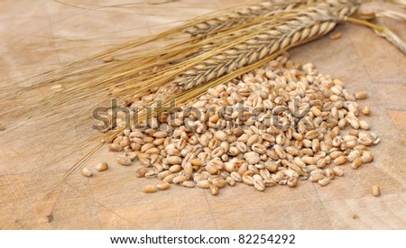 lots of seeds and grains  and an ear
