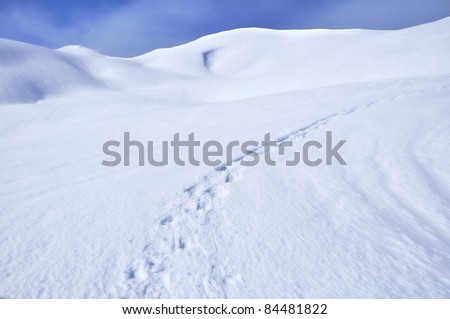 A steps drawn in the beautiful white snow going up to a very blue sky