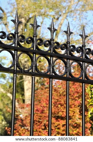 Close to points of a wrought iron gate in front of a colorful garden
