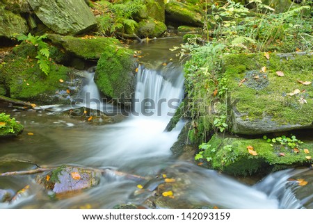 Peaceful flowing stream in the autumn forest