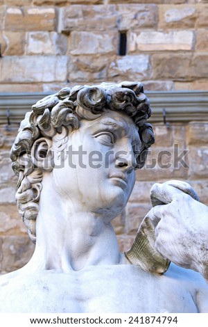 The side view of the David sculpture  by Michelangelo in Florence. (Tuscany, Italy)