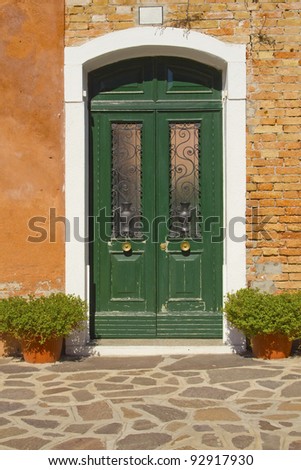 Beautiful green door with the lattice. At the door stands pots with green plants.