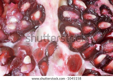 close up macro shot of pomegranate seeds. One of the superfoods that can lower cholesterol