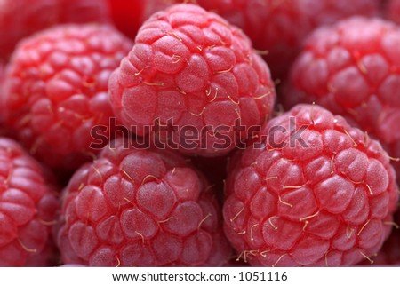 Close up macro shot of raspberries