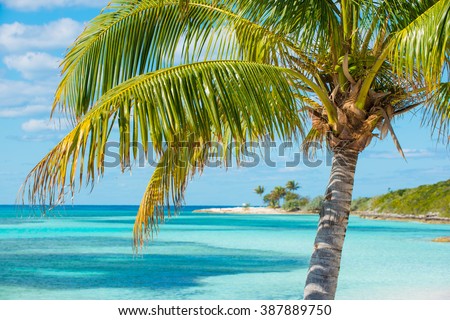 Bahamas Coco Cay Caribbean Island luxury beach oasis