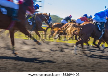 Horse Race colorful bright sunlit slow shutter speed motion effect fast moving thoroughbreds