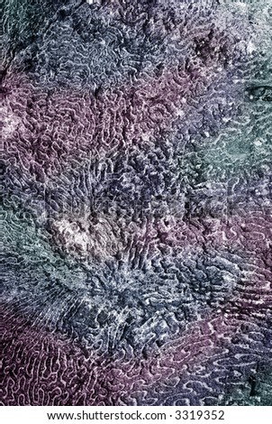 multi color ocean sea coral organic texture - Background series 09