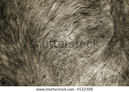 Animal Fur Hair Hide Background Grunge Texture Series 01