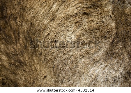 Animal Fur Hair Hide Background Grunge Texture Series 03