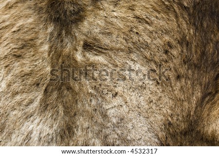 Animal Fur Hair Hide Background Grunge Texture Series 04