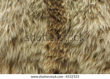 Animal Fur Hair Hide Background Grunge Texture Series 06