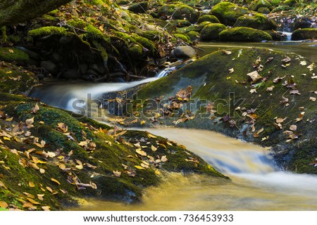 Beautiful colorful flowing water reflecting fall leaves and blue sky nature forest background