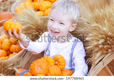 adorable smiling boy holding small pumpkin at the pumpkin patch
