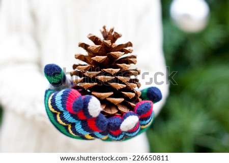 close-up of huge tree cone at christmas time, shallow DOF