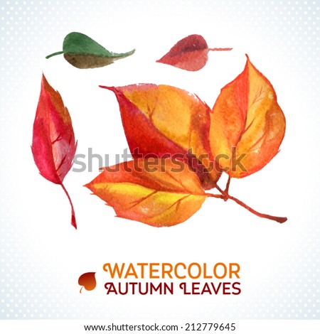 Watercolor autumn leaf set. Vector illustration. Collection of autumn theme watercolor hand drawn leaves. Leaf design elements