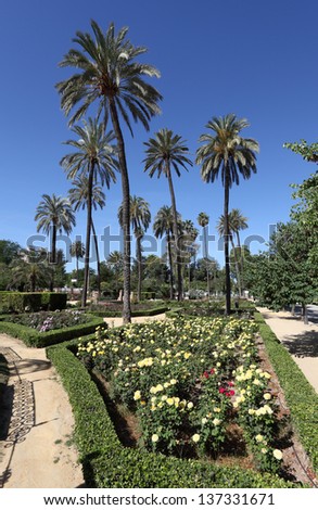 Palm trees and flowers in Maria Luisa Park. Seville, Andalusia, Spain