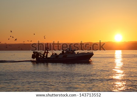 Fishing boat coming back home. Estepona, Costa del Sol, Andalusia, Spain