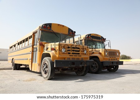 Two yellow school buses in a parking lot. Doha, Qatar, Middle East