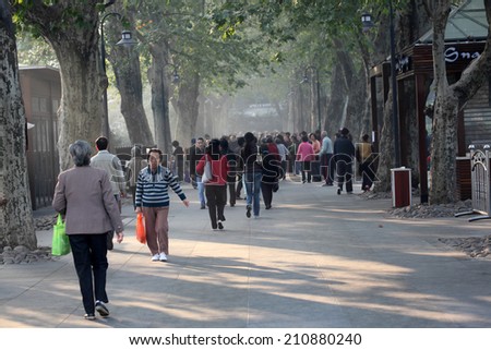 SHANGHAI, CHINA - NOV 20: People strolling in a green park in the city of Shanghai. November 20, 2010 in Shanghai, China