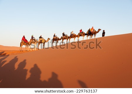 SAHARA, MOROCCO - 26 NOV: Camel caravan with tourists in the sahara desert.  November 26, 2008 in Morocco, Africa