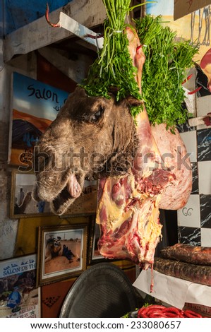 FEZ, MOROCCO - NOV 30: Camel head for sale at the butcher in the medina of Fez. November 30, 2008 in Fez, Morocco, Africa