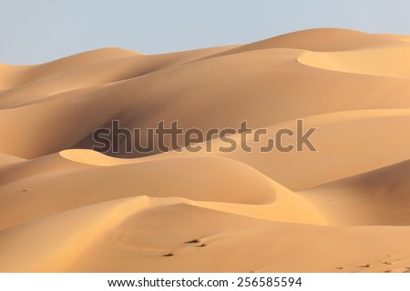 Dunes in the Empty Quarter desert. Emirate of Abu Dhabi, United Arab Emirates