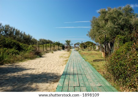 pisa italy beach