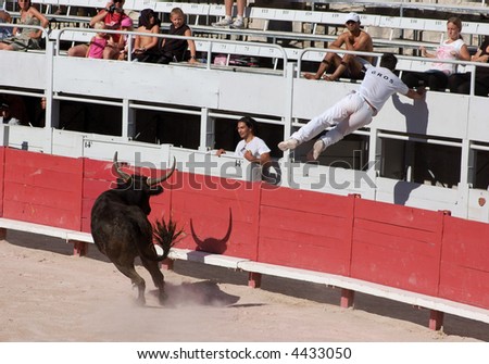 Bullfight in the old roman Arena in Arles, France