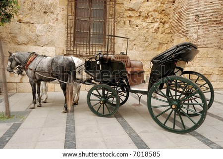stock photo : Horses and carriage for sightseeing in Cordova, Spain