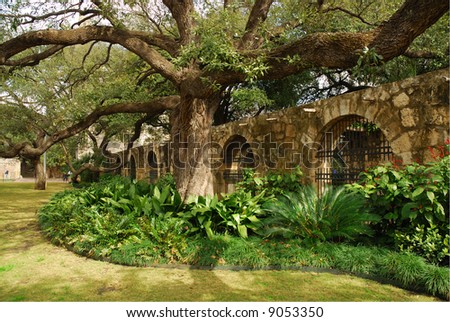 In the garden of Alamo, San Antonio, Texas