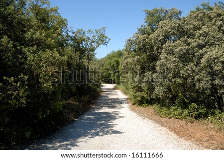 Country road in the Provence, southern France