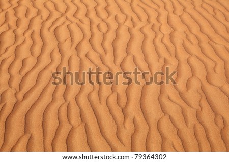 Pattern on a sand dune in a desert near Dubai, United Arab Emirates