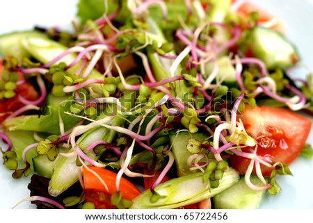 Radish Sprout Salad