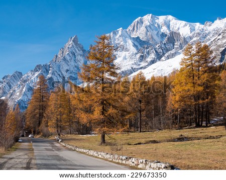 Mountain road in fall. In background larch trees and the snowy peaks of Mont Blanc - Courmayer, Val d\'Aosta, Italy, Europe.