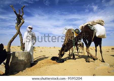 Desert beduin with two camels drinking the water of a sahara desert well; Algeria, Africa.
