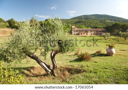 View of a luxury country house in the famous tuscan hills, Italy. In foreground an olive tree.