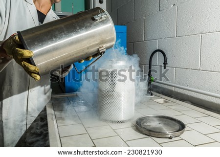 A stainless steel dewar flask with liquid nitrogen