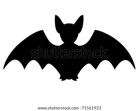 stock photo Silhouette of bat