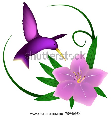 Hummingbird and lily, isolated on white. raster version
