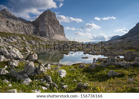 Small lake at Triglav Lakes Valley with grass and flowers in the foreground, lake in the middle and mountain peak in the background.