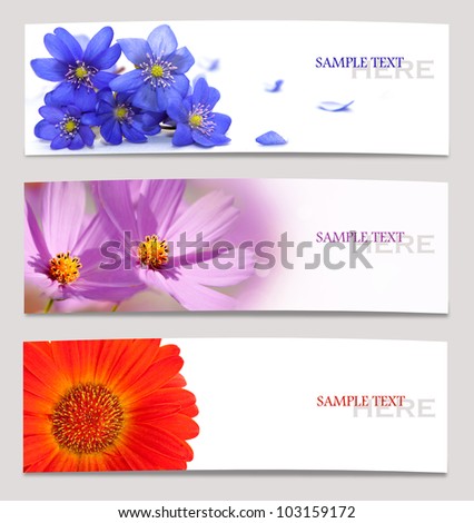 Design background of spring flowers brochure  template