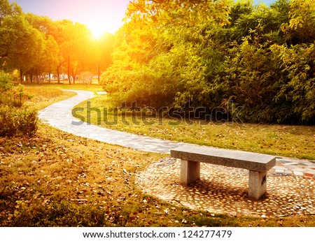 On the outskirts of the autumn, the golden landscape, winding path.