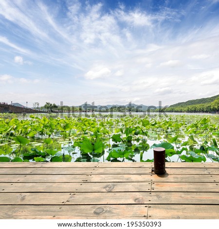 Hangzhou West Lake in the summer landscape