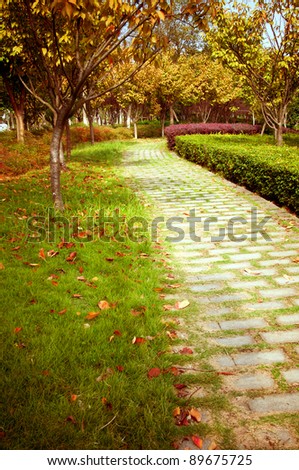 Fall, China\'s urban trail, leaves are red.