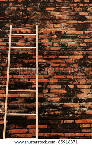 Old brick wall with Bamboo ladder