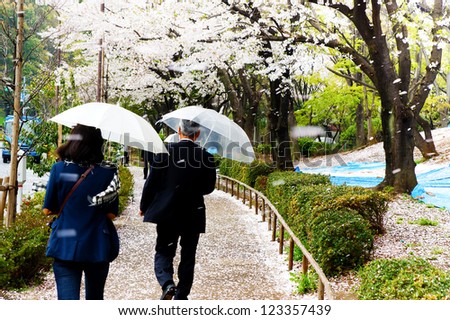 people walk in the sakura petal\'s rain