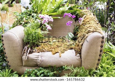 Plants grow up on the old broken sofa