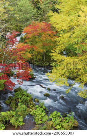 Beautiful autumn river lines with rocks and trees