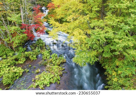 Beautiful autumn river lines with rocks and trees