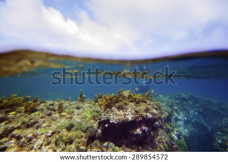 Underwater coral reef with water surface and cloudy blue sky horizon split by waterline